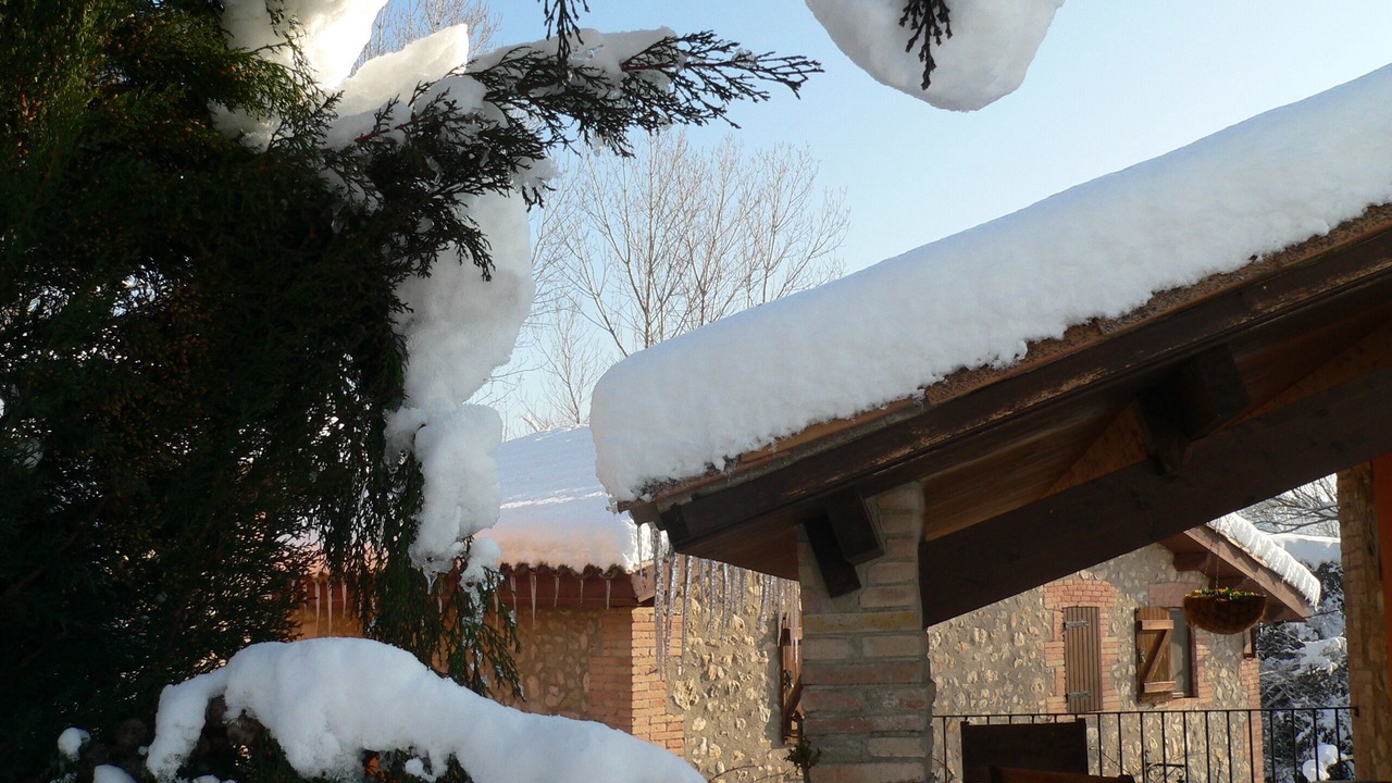 Photo of Outdoor in Avia