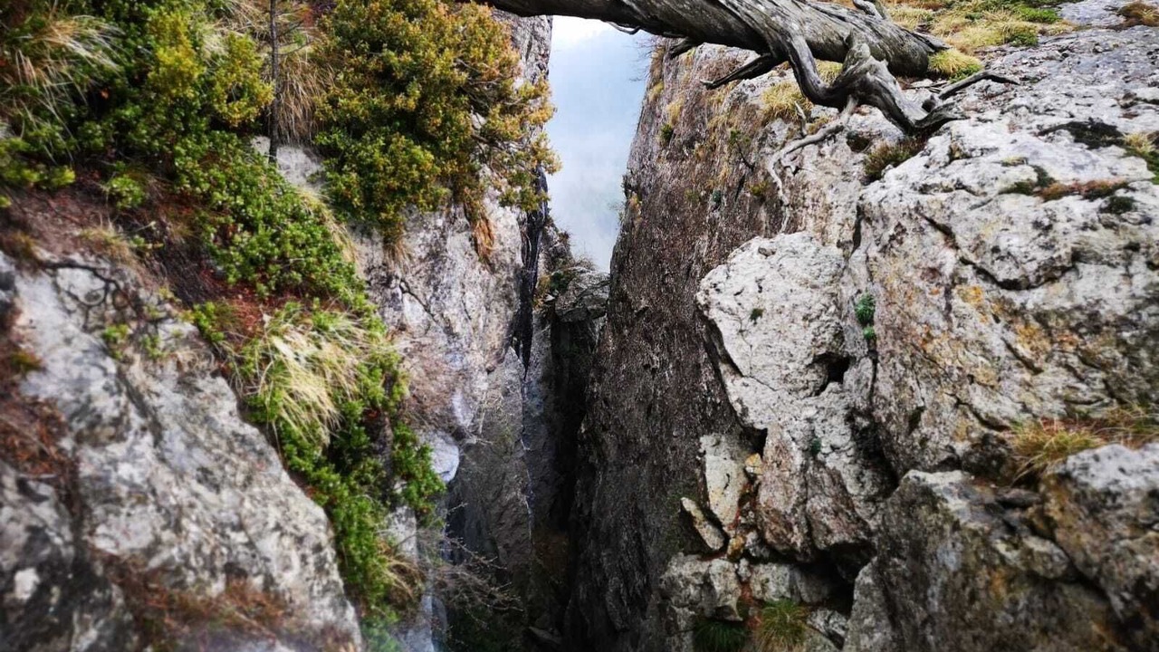 Photo of Outdoor in Avia