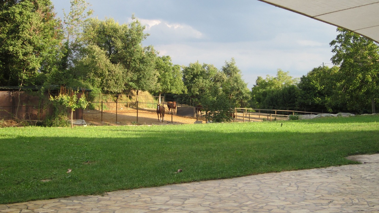 Photo of Others in Avia