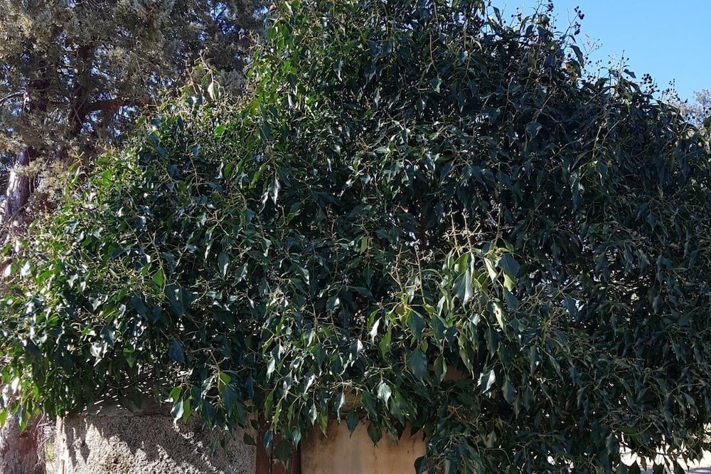 Photo of Outdoor in Gualba de Dalt