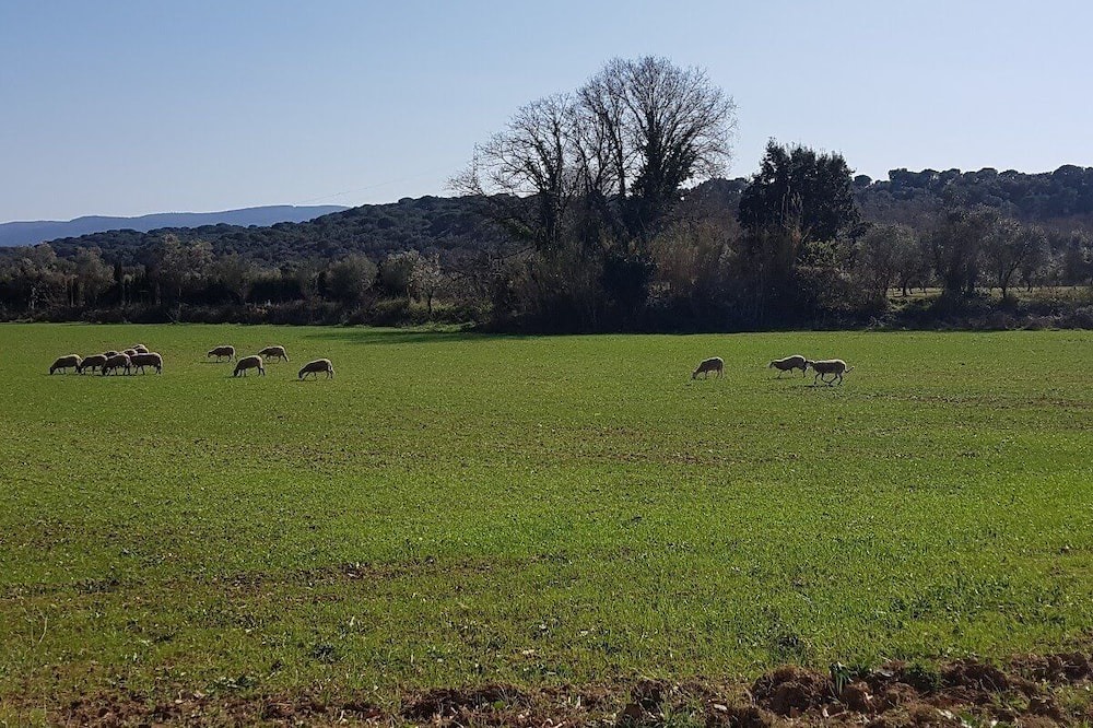 Photo of Outdoor in Gualba de Dalt