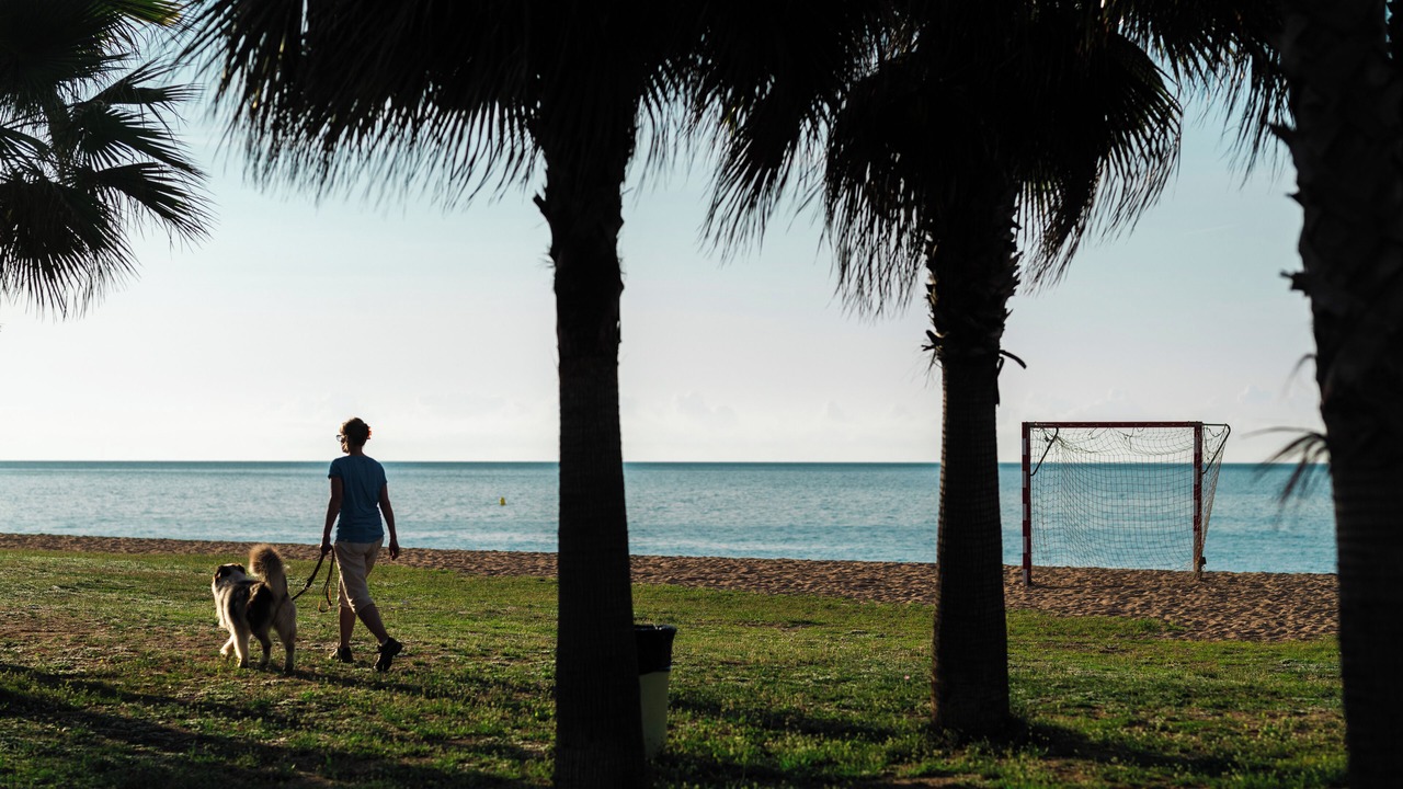 Photo of Others in Pineda de Mar