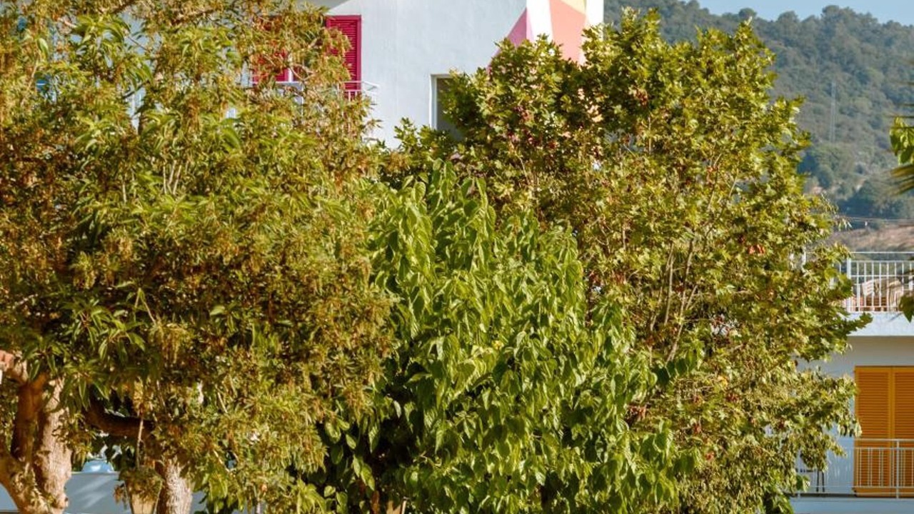 Photo of Outdoor in Pineda de Mar