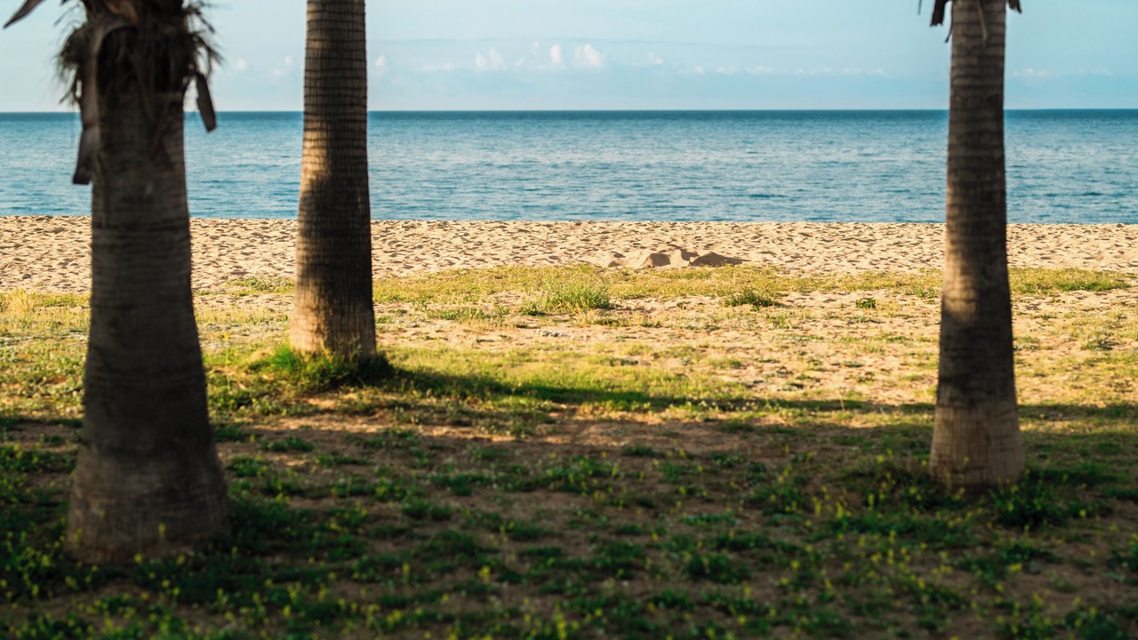 Photo of Others in Pineda de Mar