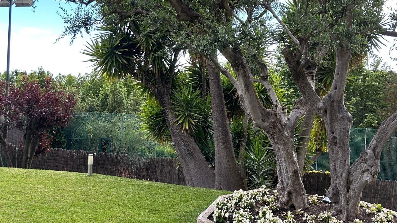 Photo of Outdoor in Sant Vicenc de Montalt
