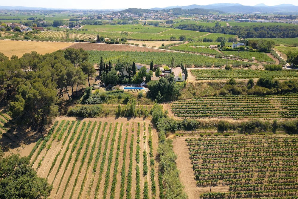 Photo of Outdoor in Font-Rubi