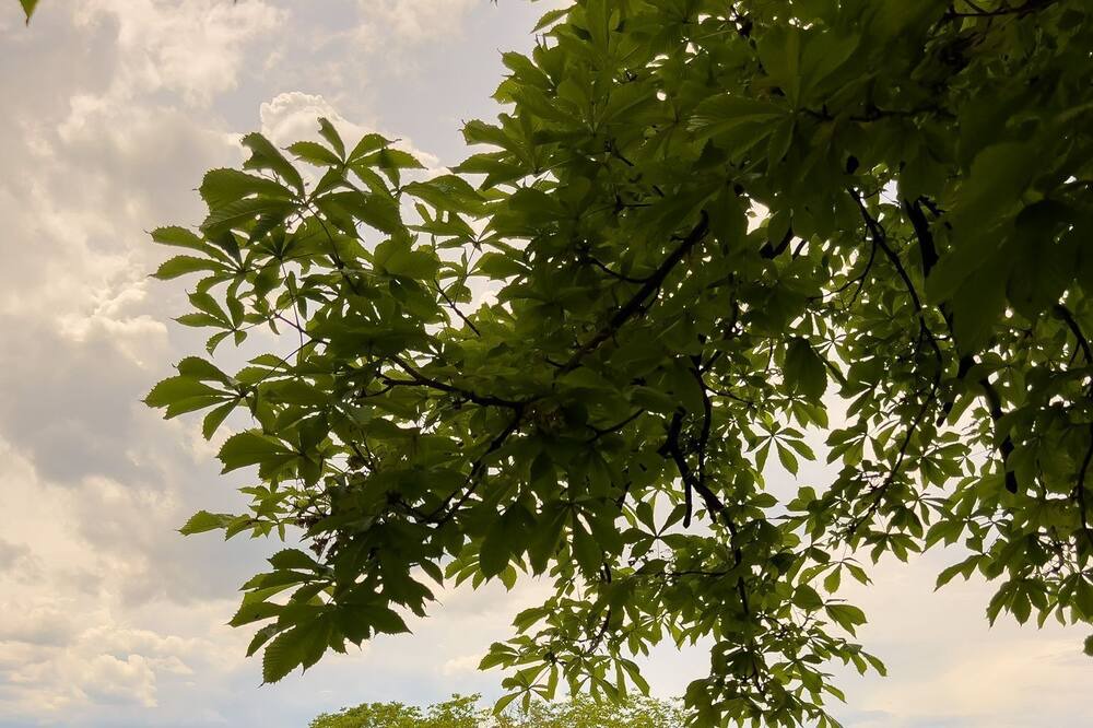 Photo of Outdoor in Perafita