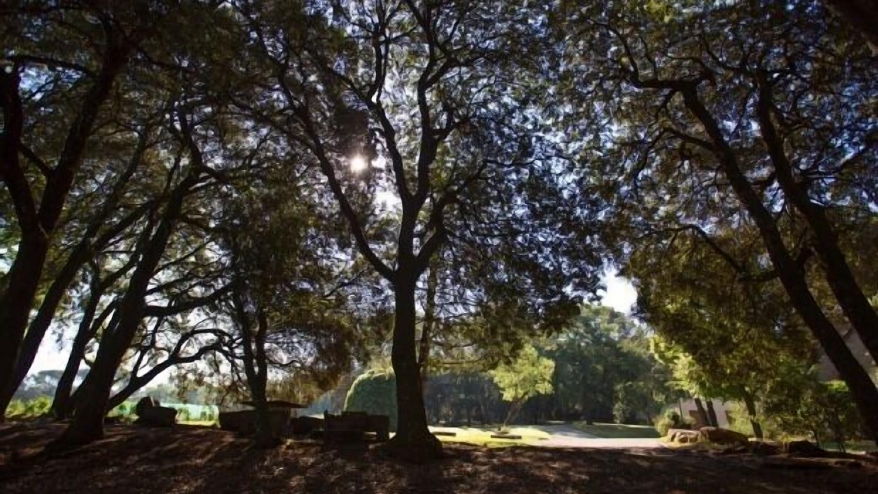 Photo of Outdoor in Taradell