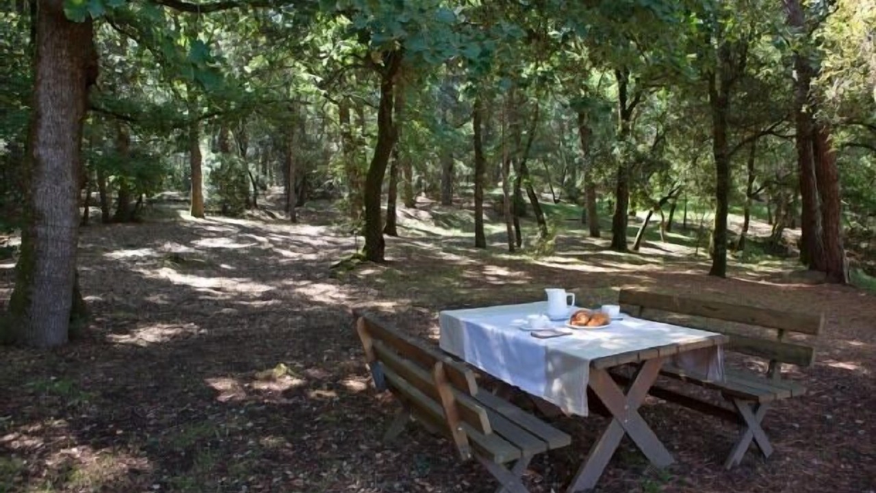 Photo of Outdoor in Taradell