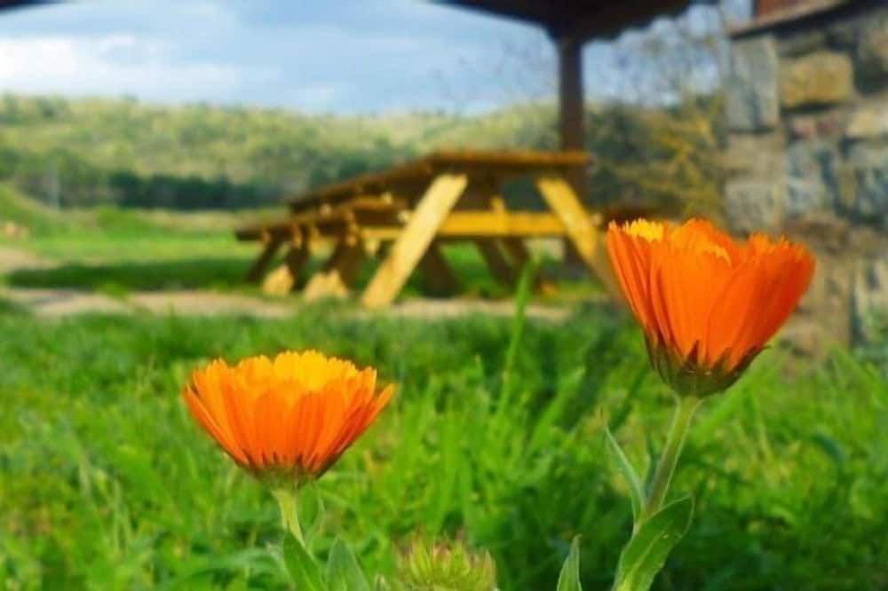 Photo of Outdoor in Taradell