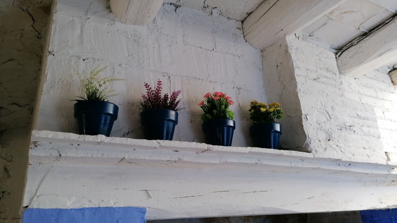 Photo of Outdoor in Mediona