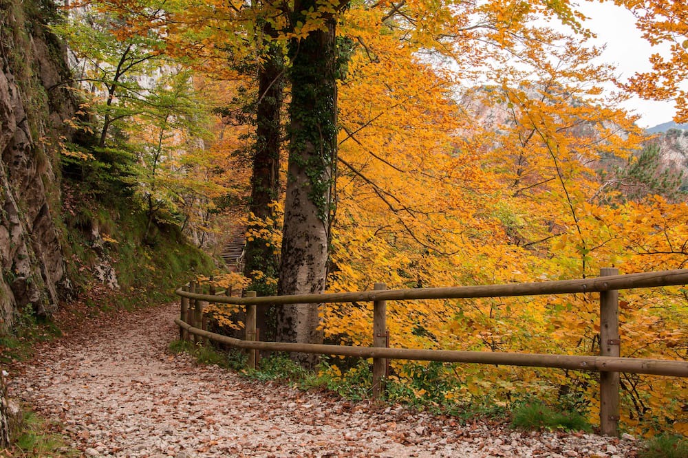 Photo of Outdoor in Berga