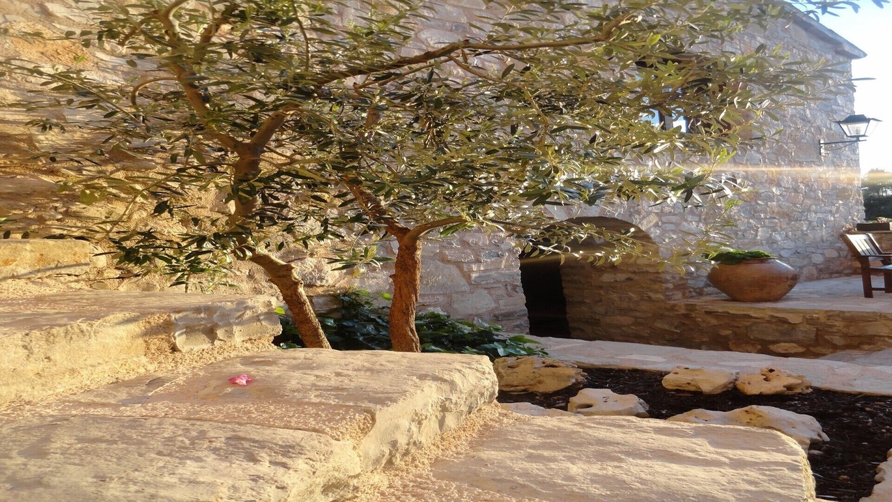Photo of Outdoor in Orpi