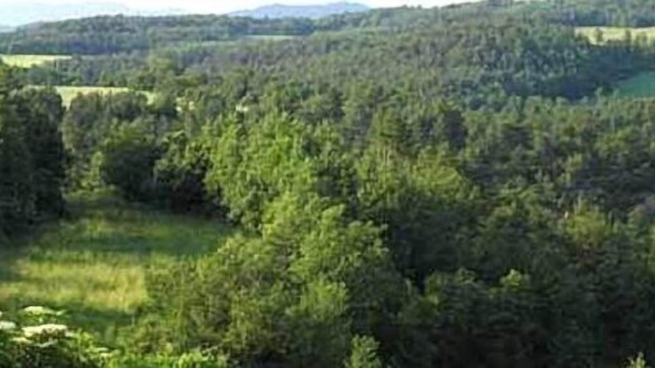 Photo of Outdoor in Sant Bartomeu del Grau