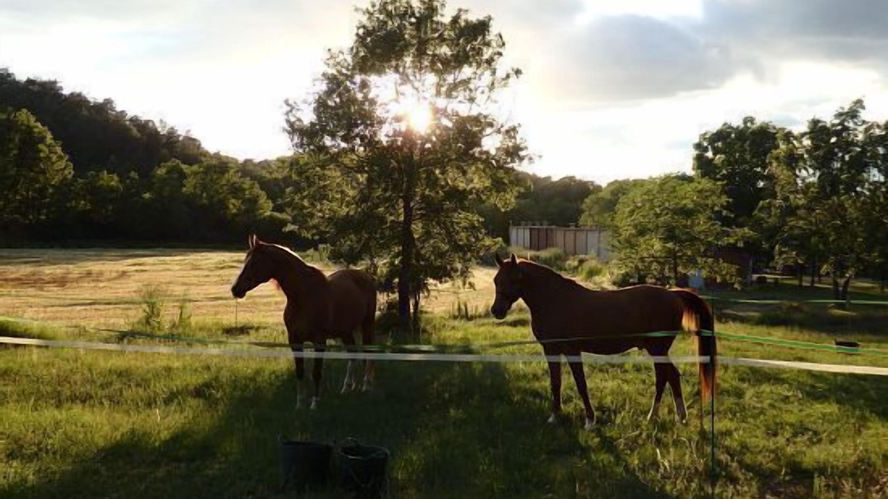Photo of Outdoor in Sant Bartomeu del Grau