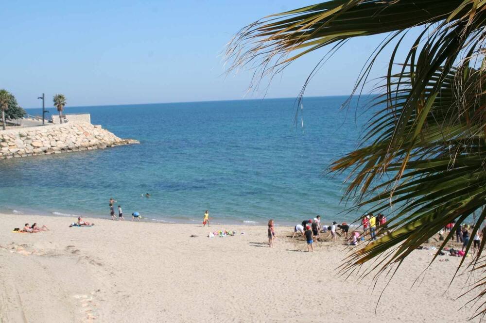 Photo of Others in L Almadrava