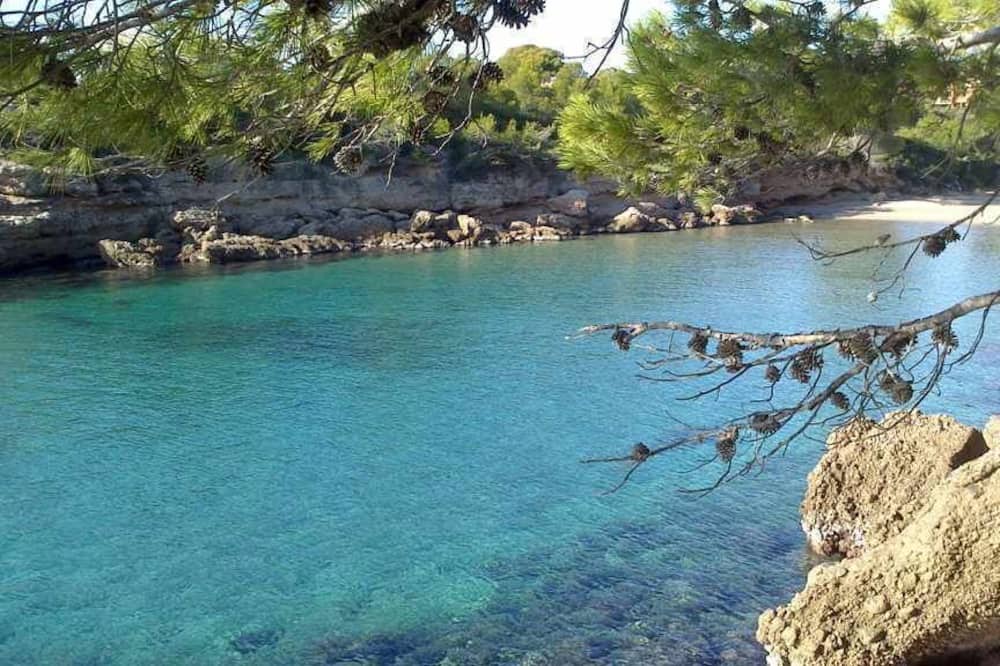 Photo of Others in L Almadrava