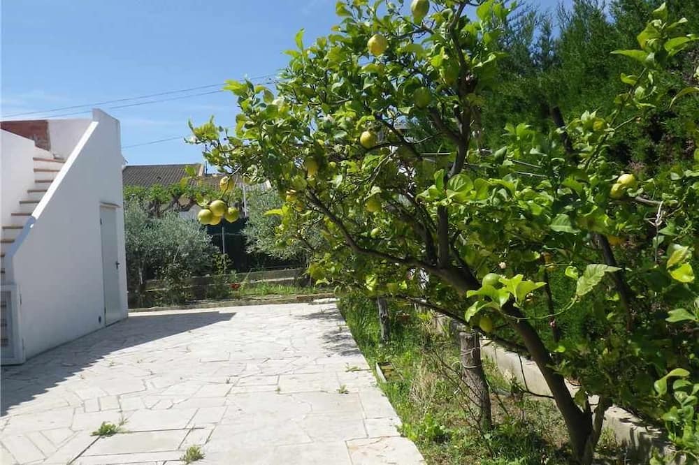 Photo of Outdoor in L Almadrava