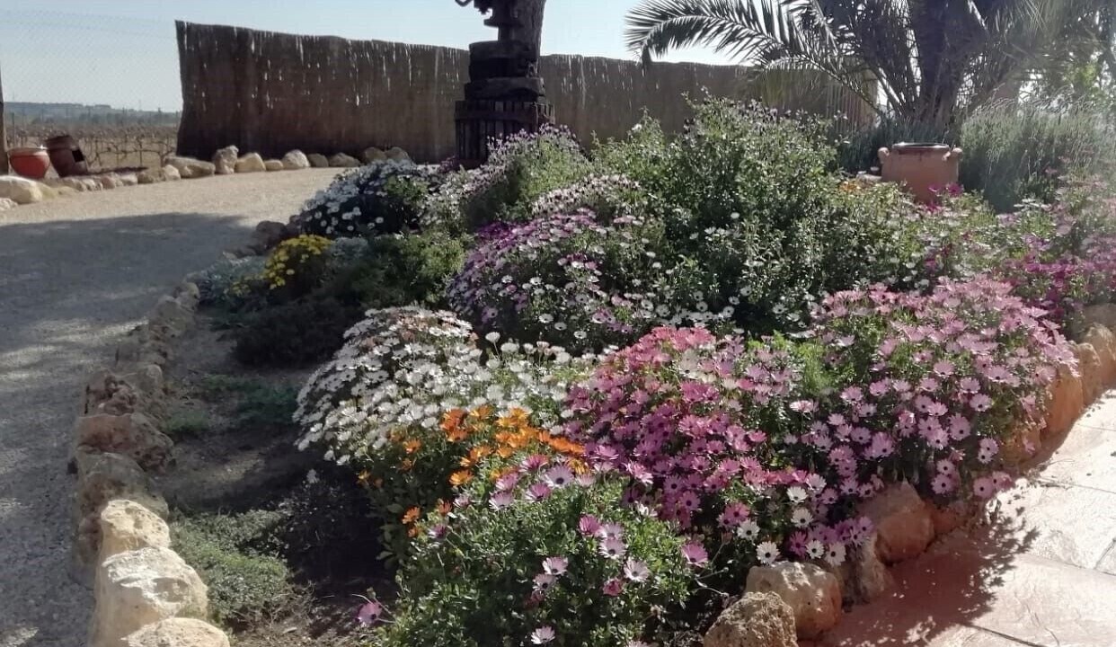 Photo of Outdoor in San Martin Sarroca