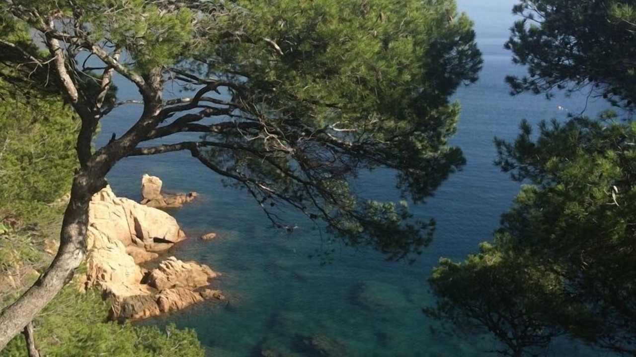 Photo of Outdoor in Aiguablava