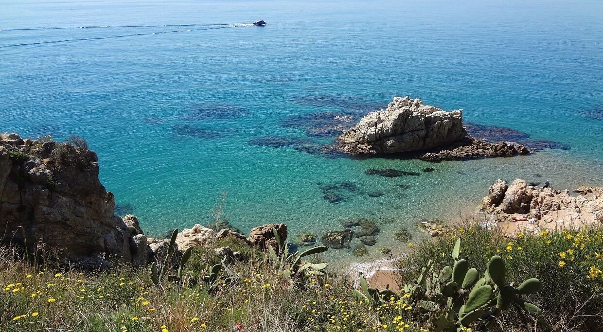 Photo of Others in Pineda de Mar