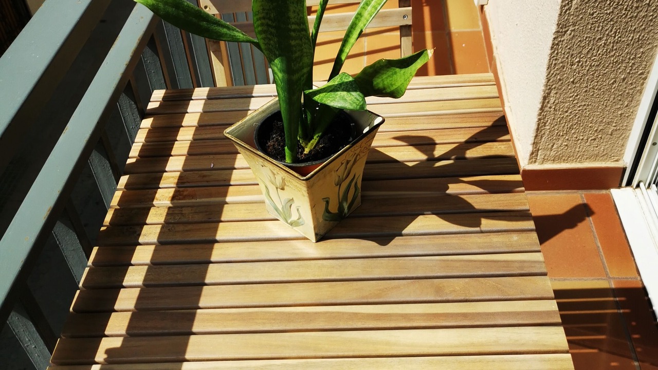 Photo of Outdoor in Premia de Mar