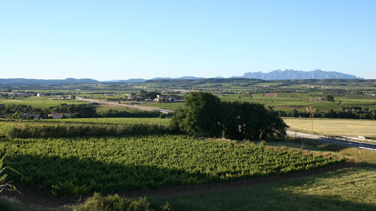 Photo of Outdoor in El Pla del Penedes