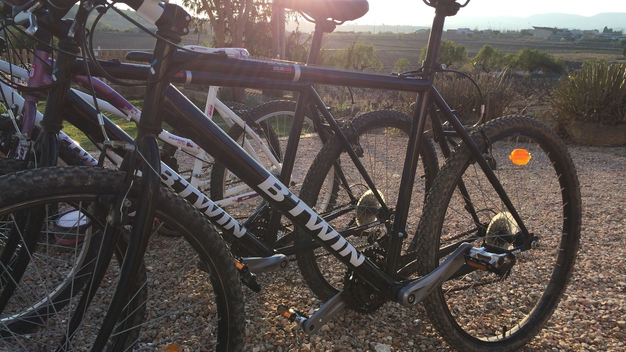 Photo of Outdoor in El Pla del Penedes