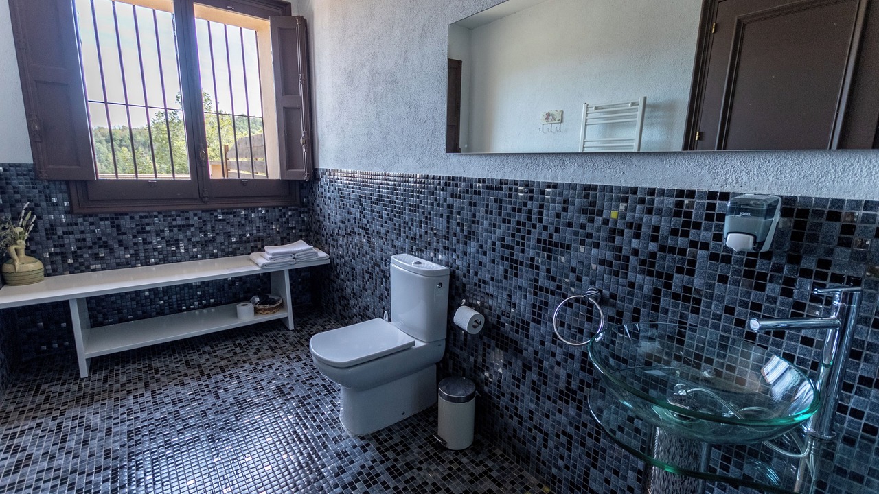Photo of Bathroom in Santa Eulalia de Riuprimer