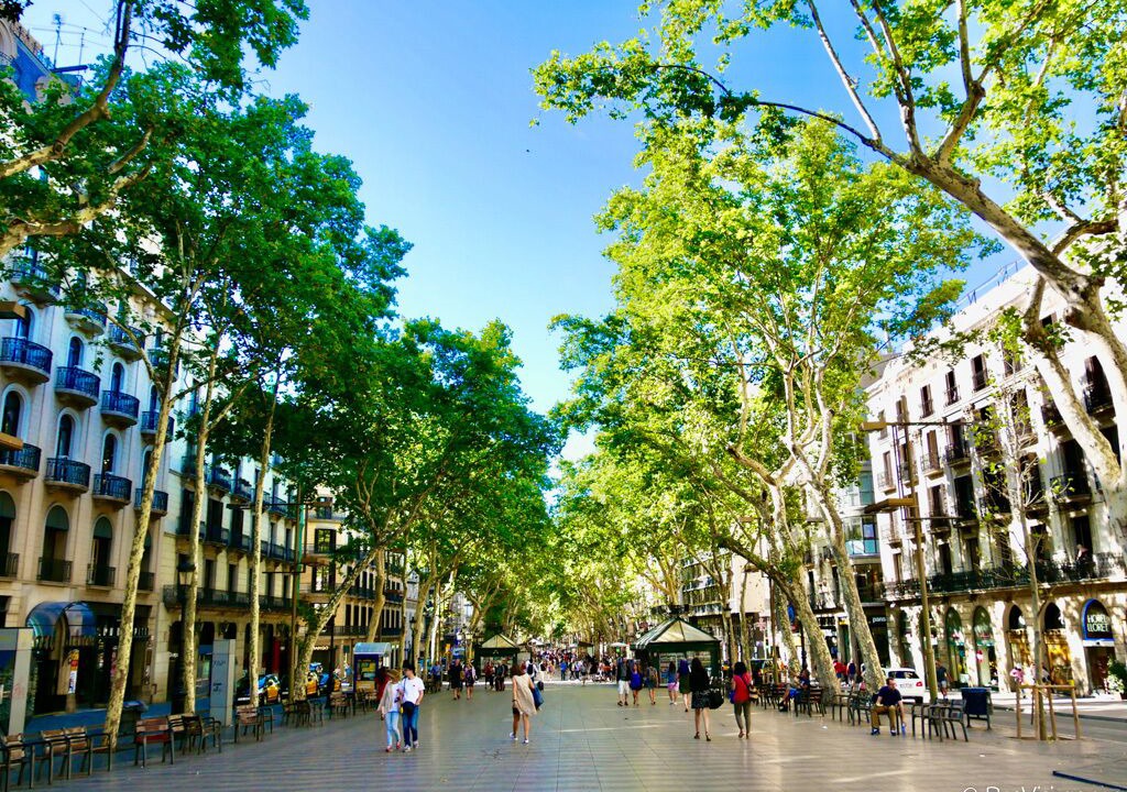 Photo of Others in Granollers