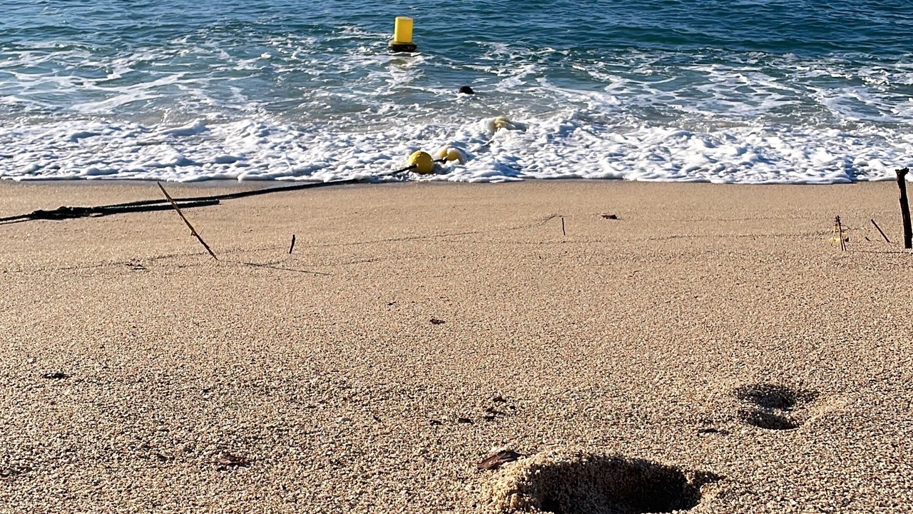 Photo of Others in Masnou