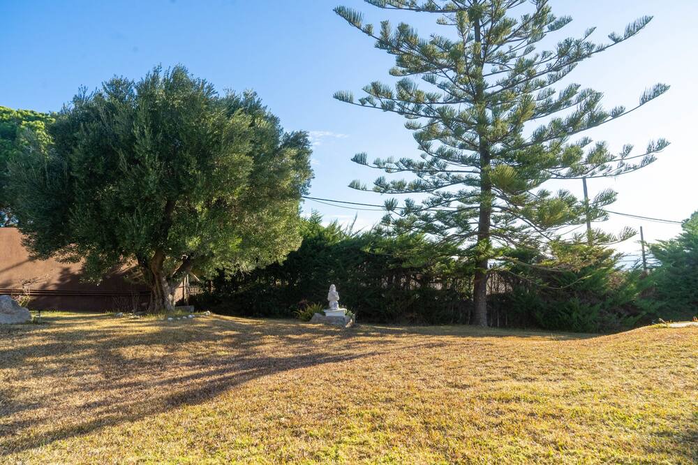 Photo of Outdoor in Sant Vicenc de Montalt