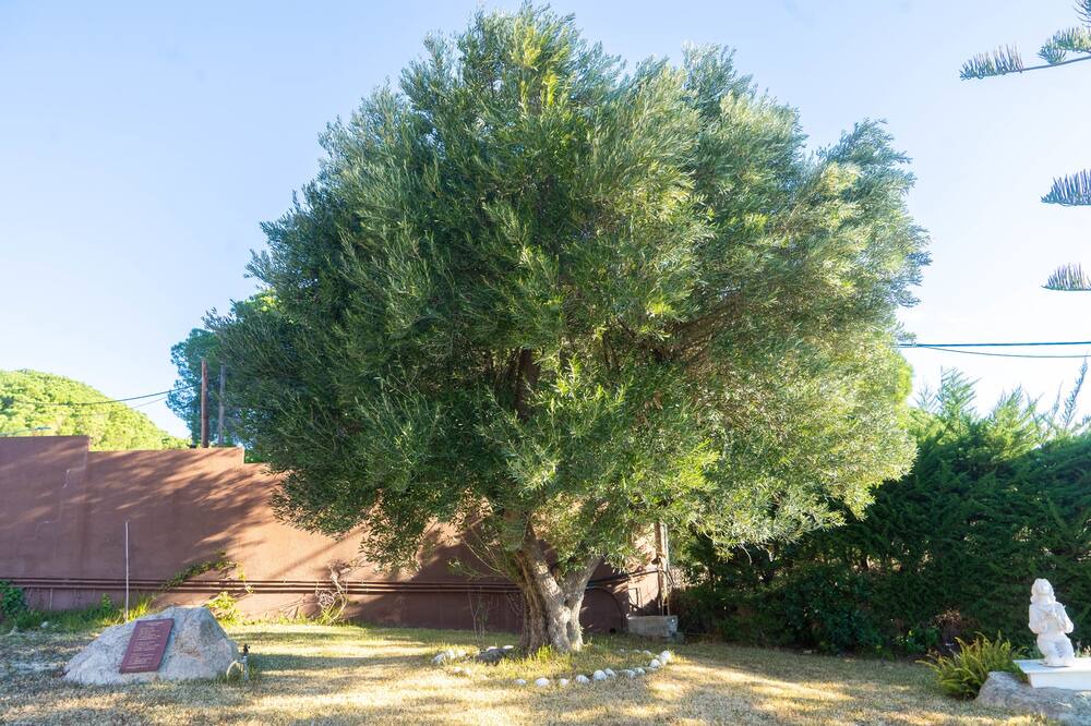 Photo of Outdoor in Sant Vicenc de Montalt