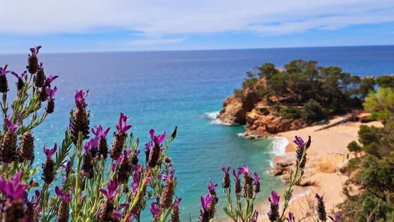 Photo of Others in Canet de Mar