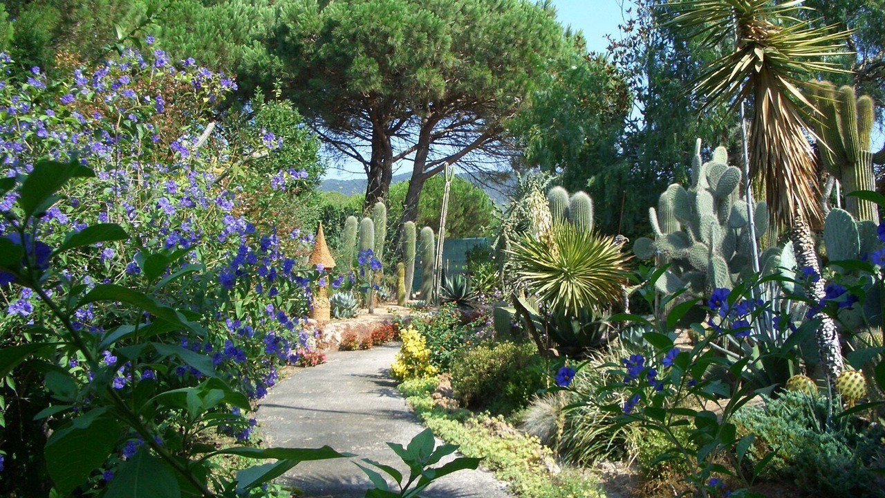 Photo of Outdoor in Tordera