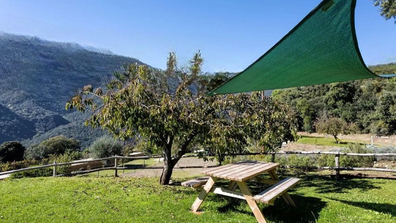 Photo of Outdoor in Montseny