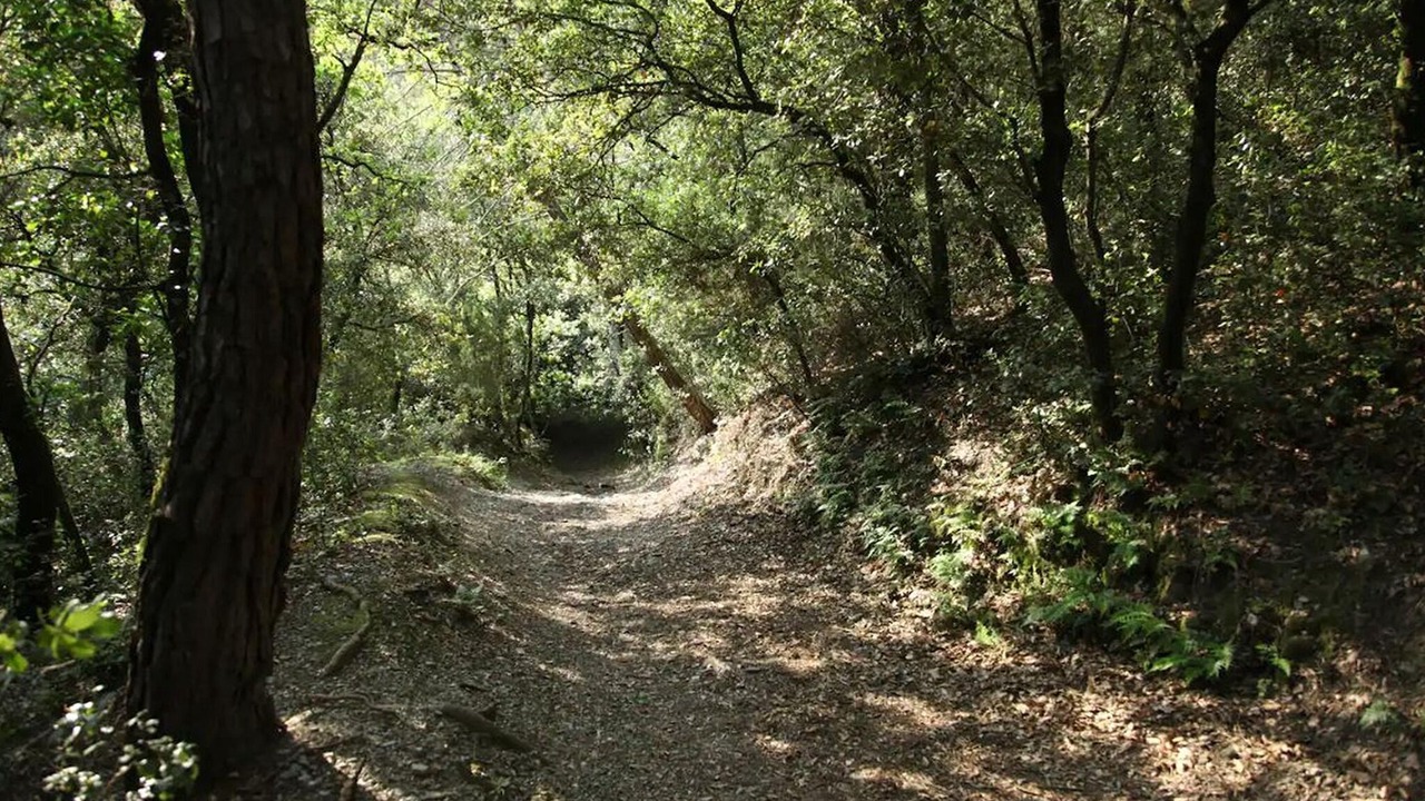 Photo of Others in Montseny