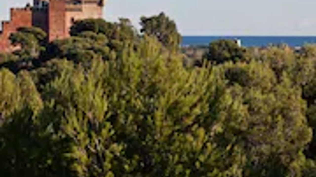 Photo of Outdoor in Castelldefels
