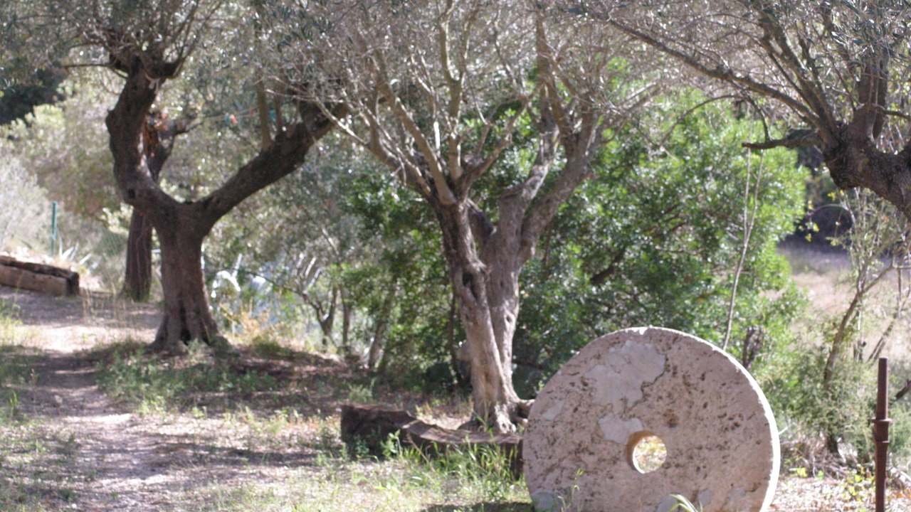 Photo of Outdoor in Piera