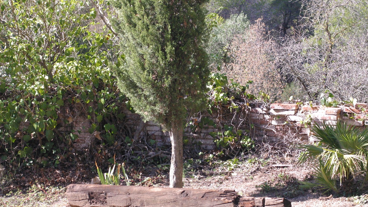 Photo of Outdoor in Piera