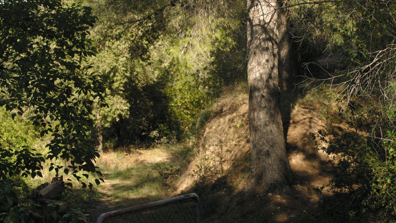 Photo of Outdoor in Piera