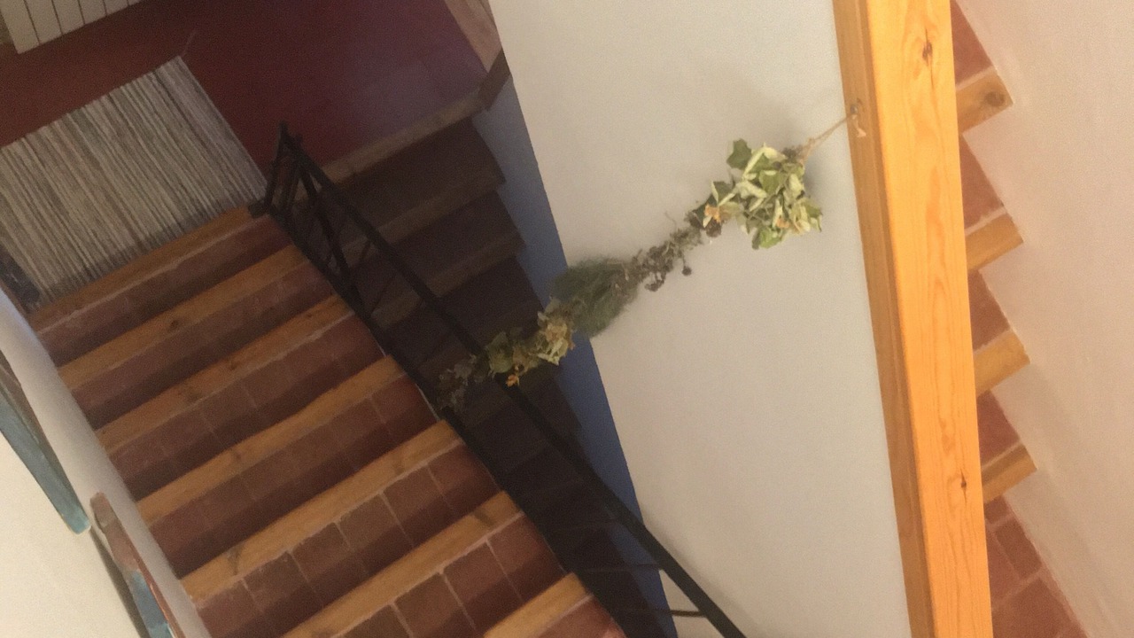 Photo of Livingroom in Piera