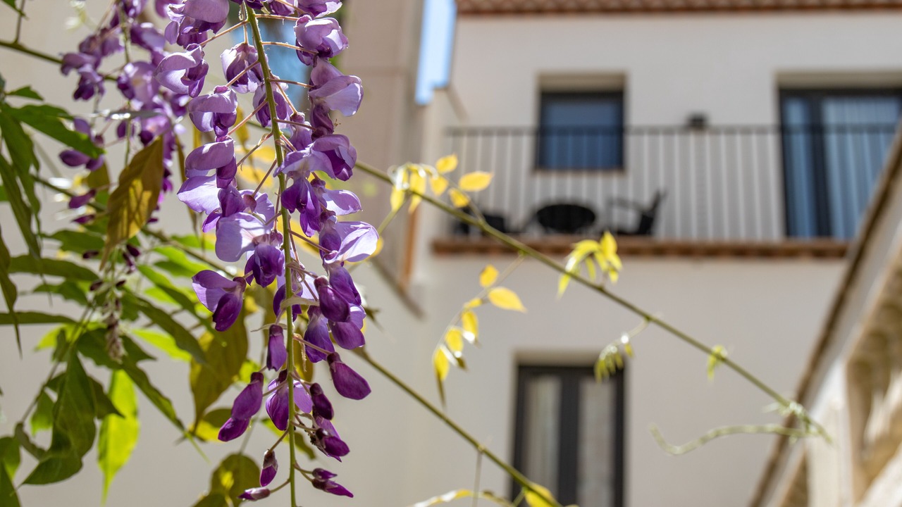 Photo of Outdoor in Arenys de Mar