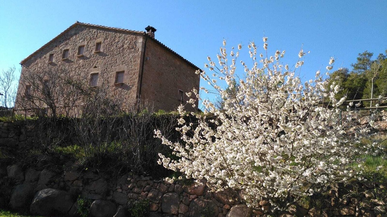 Photo of Outdoor in Cardona