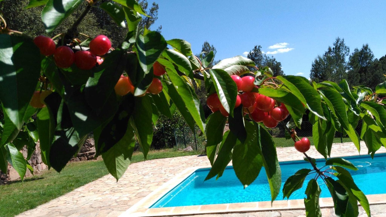 Photo of Outdoor in Cardona
