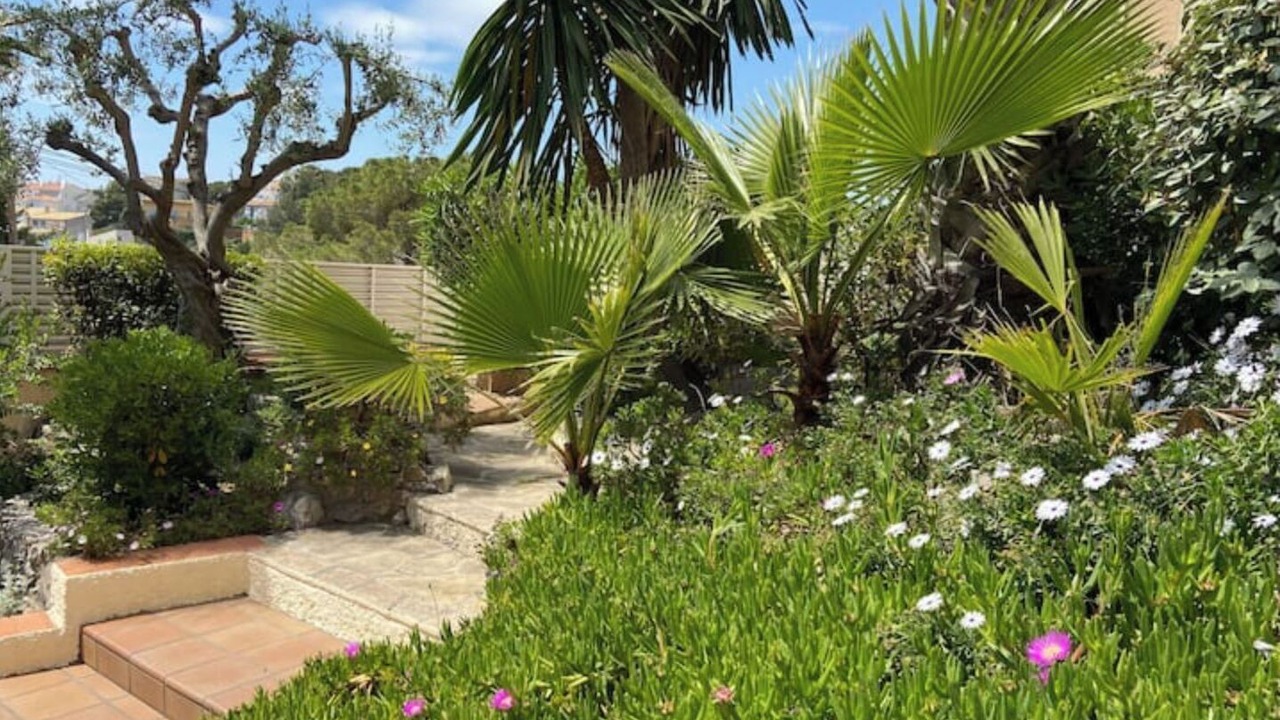 Photo of Outdoor in Vallpineda