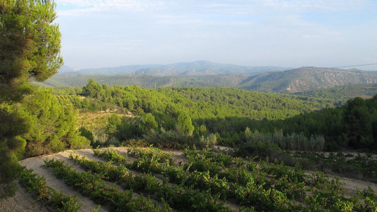 Photo of Others in Avinyonet del Penedes
