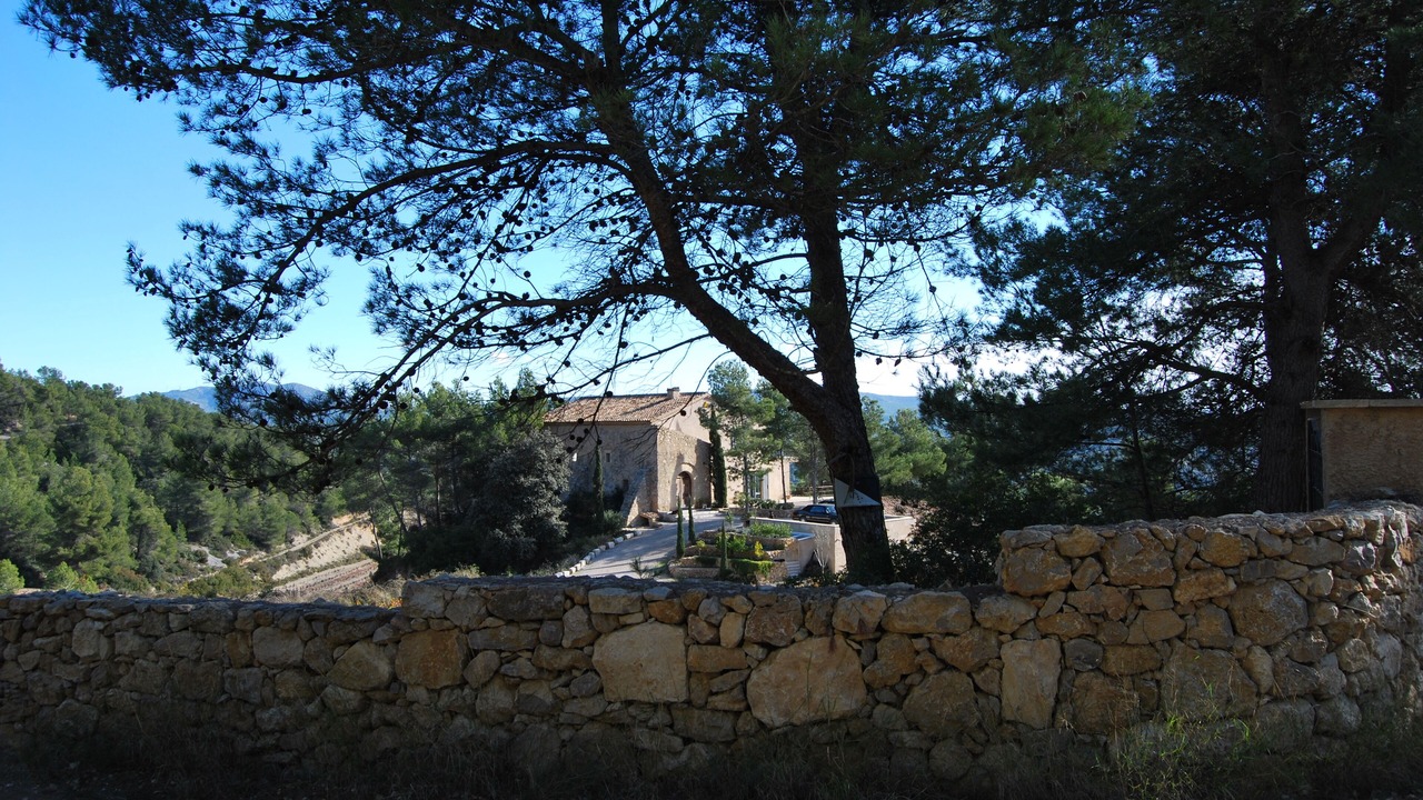 Photo of Outdoor in Avinyonet del Penedes