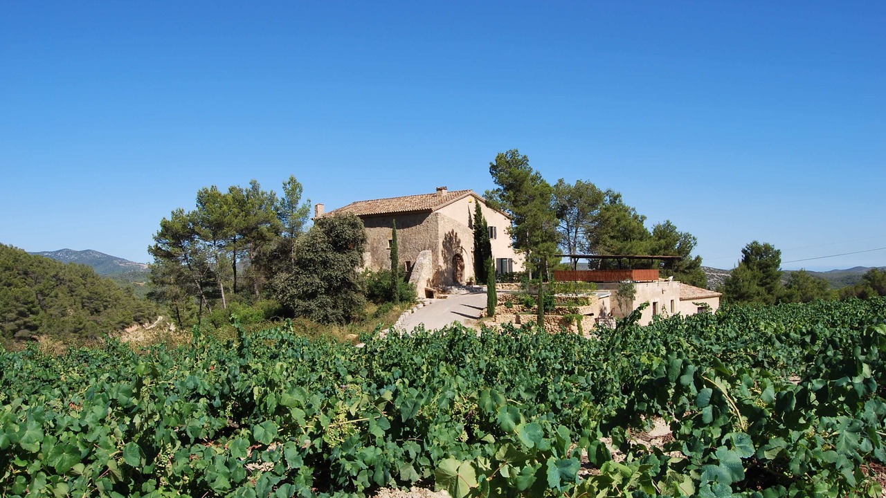 Photo of Outdoor in Avinyonet del Penedes