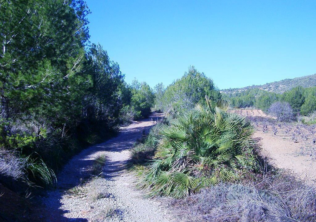 Photo of Outdoor in Avinyonet del Penedes